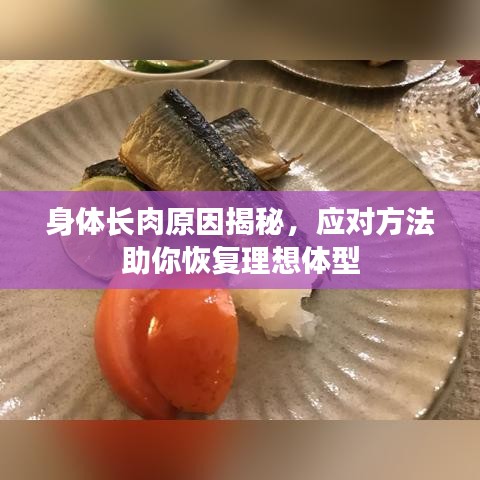 身体长肉原因揭秘，应对方法助你恢复理想体型