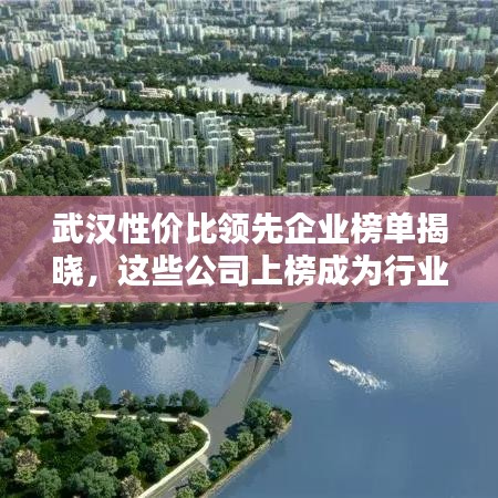 武汉性价比领先企业榜单揭晓，这些公司上榜成为行业翘楚！
