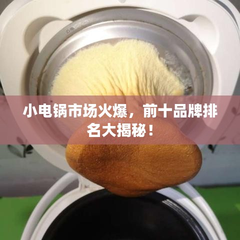 小电锅市场火爆，前十品牌排名大揭秘！