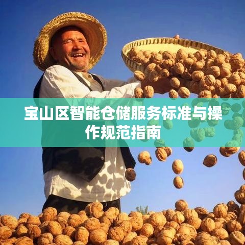 宝山区智能仓储服务标准与操作规范指南