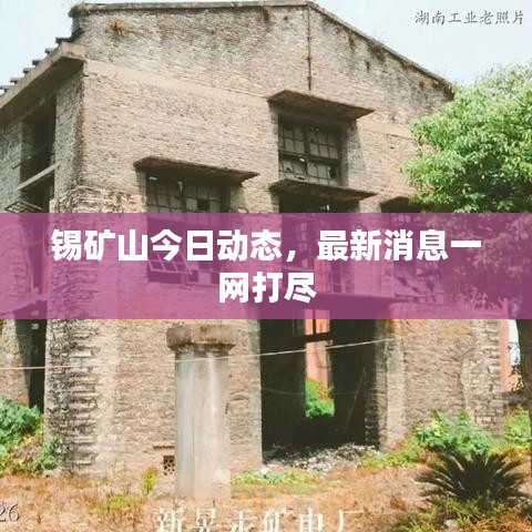 锡矿山今日动态，最新消息一网打尽