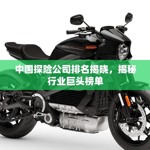 中国探险公司排名揭晓，揭秘行业巨头榜单
