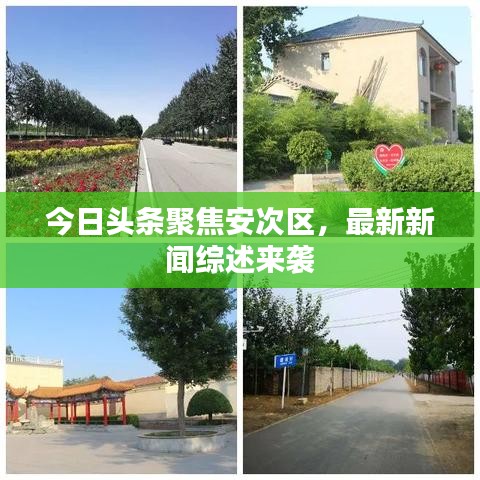 今日头条聚焦安次区，最新新闻综述来袭