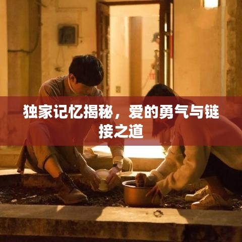 独家记忆揭秘，爱的勇气与链接之道