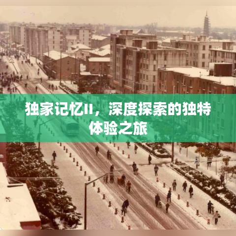 独家记忆II，深度探索的独特体验之旅