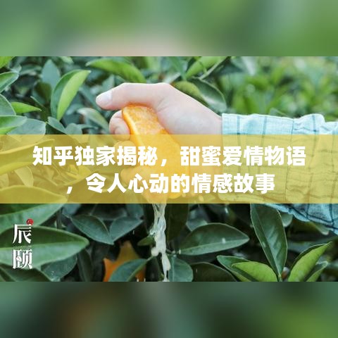 知乎独家揭秘，甜蜜爱情物语，令人心动的情感故事