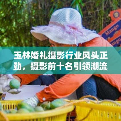 玉林婚礼摄影行业风头正劲，摄影前十名引领潮流风尚标