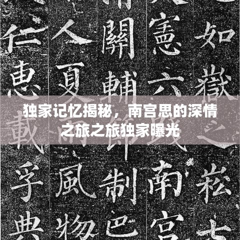 独家记忆揭秘，南宫思的深情之旅之旅独家曝光