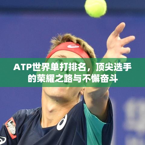 ATP世界单打排名，顶尖选手的荣耀之路与不懈奋斗