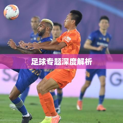 足球专题深度解析