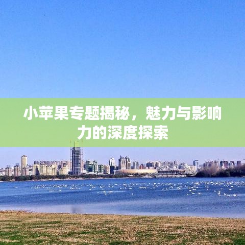 小苹果专题揭秘，魅力与影响力的深度探索