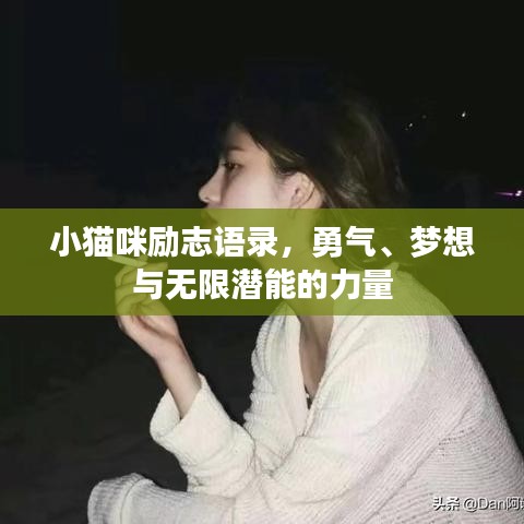 小猫咪励志语录，勇气、梦想与无限潜能的力量