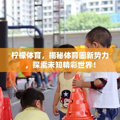 柠檬体育，揭秘体育圈新势力，探索未知精彩世界！