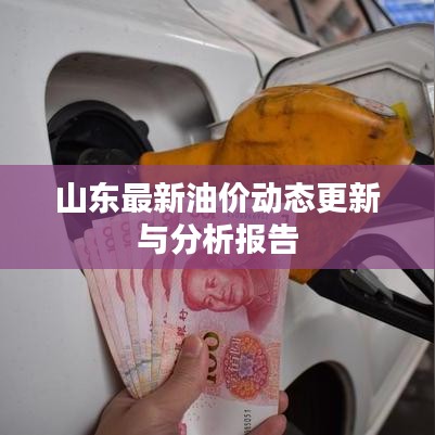 山东最新油价动态更新与分析报告