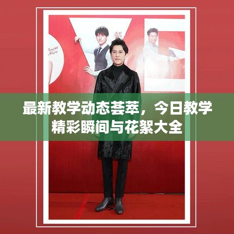 最新教学动态荟萃，今日教学精彩瞬间与花絮大全
