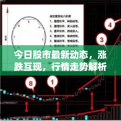 今日股市最新动态，涨跌互现，行情走势解析