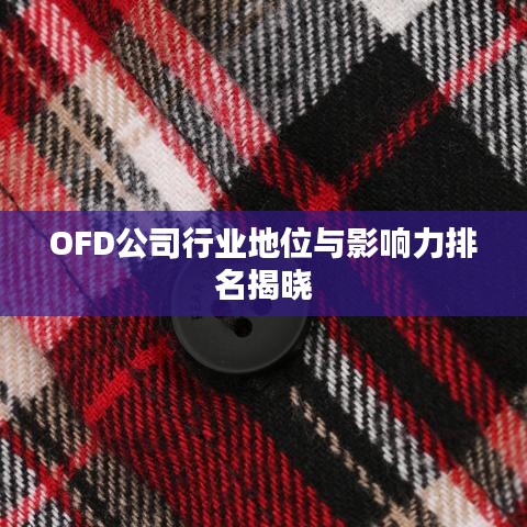 OFD公司行业地位与影响力排名揭晓