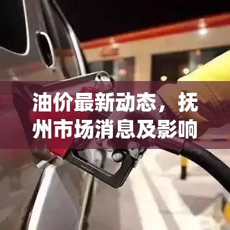油价最新动态，抚州市场消息及影响因素深度解析