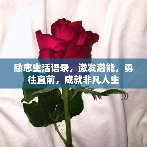 励志生活语录，激发潜能，勇往直前，成就非凡人生
