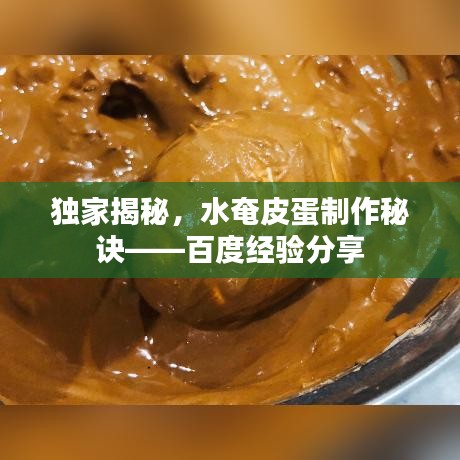 独家揭秘，水奄皮蛋制作秘诀——百度经验分享