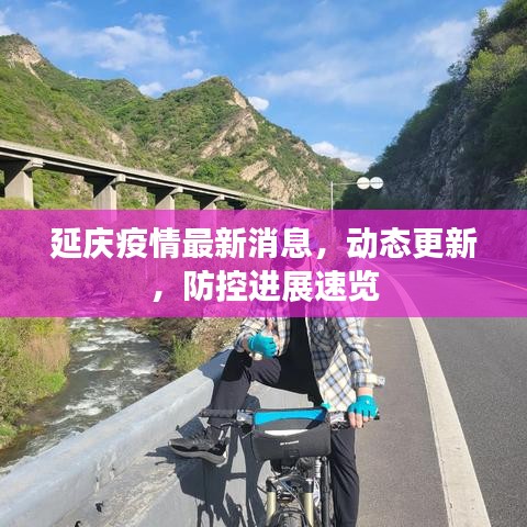 延庆疫情最新消息，动态更新，防控进展速览
