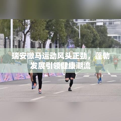 瑞安微马运动风头正劲，蓬勃发展引领健康潮流