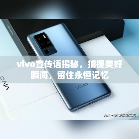 vivo宣传语揭秘，捕捉美好瞬间，留住永恒记忆