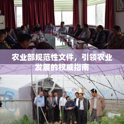农业部规范性文件，引领农业发展的权威指南