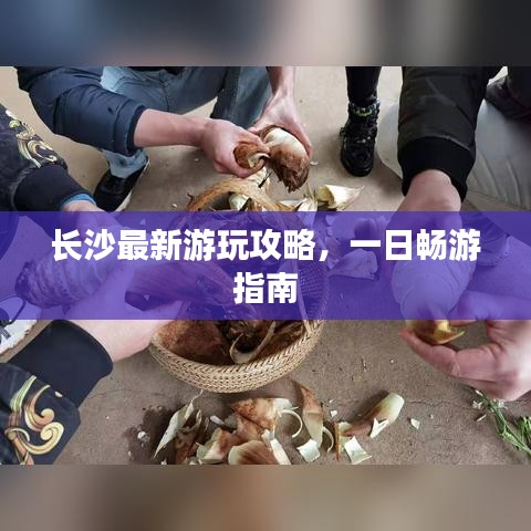 长沙最新游玩攻略，一日畅游指南
