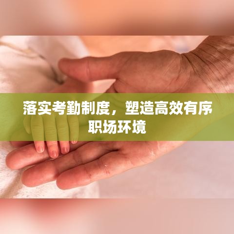 落实考勤制度，塑造高效有序职场环境