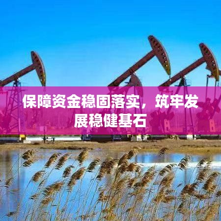 保障资金稳固落实，筑牢发展稳健基石