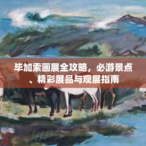 毕加索画展全攻略，必游景点、精彩展品与观展指南