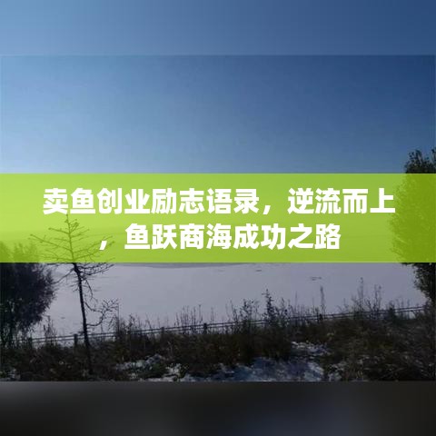 卖鱼创业励志语录，逆流而上，鱼跃商海成功之路