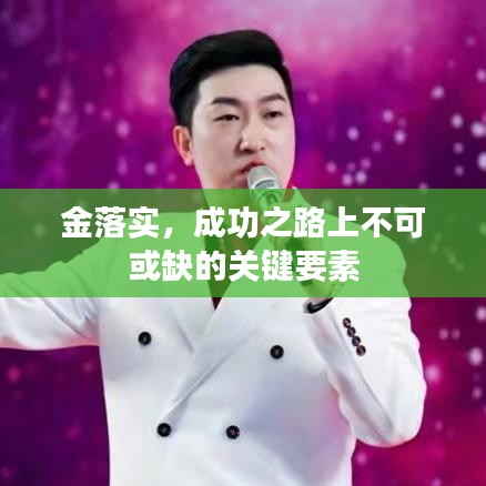 金落实，成功之路上不可或缺的关键要素