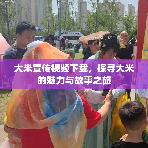 大米宣传视频下载，探寻大米的魅力与故事之旅
