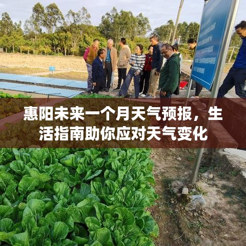 月里嫦娥