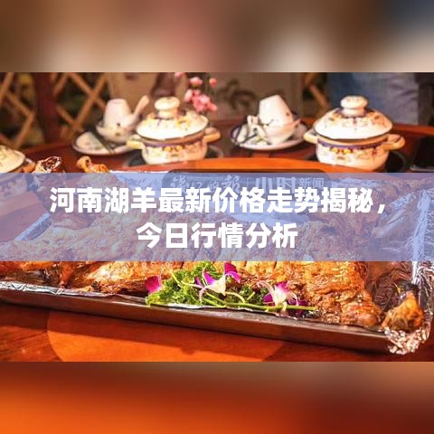 河南湖羊最新价格走势揭秘，今日行情分析