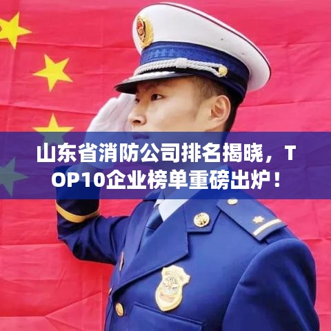 山东省消防公司排名揭晓，TOP10企业榜单重磅出炉！