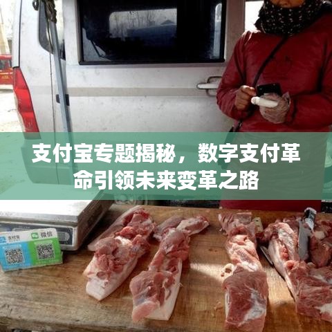 支付宝专题揭秘，数字支付革命引领未来变革之路