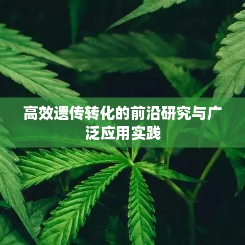 高效遗传转化的前沿研究与广泛应用实践