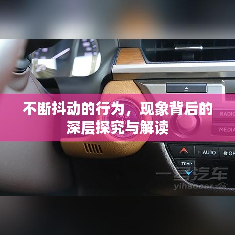 不断抖动的行为，现象背后的深层探究与解读