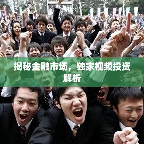揭秘金融市场，独家视频投资解析