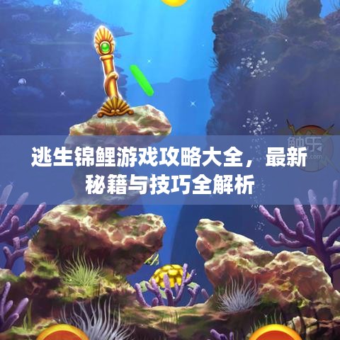 逃生锦鲤游戏攻略大全，最新秘籍与技巧全解析