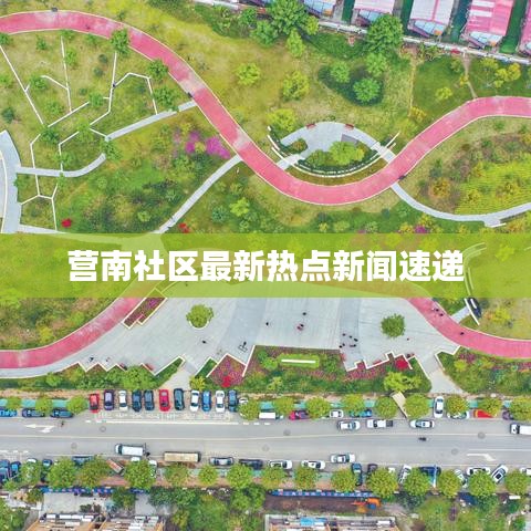 营南社区最新热点新闻速递