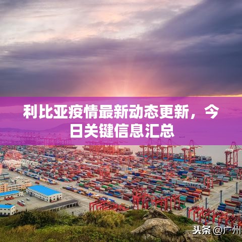 利比亚疫情最新动态更新，今日关键信息汇总