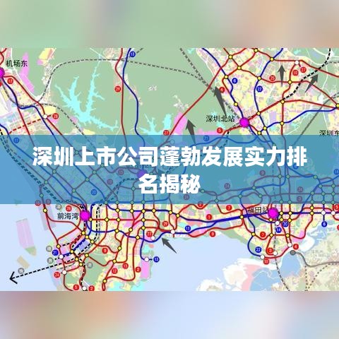 深圳上市公司蓬勃发展实力排名揭秘