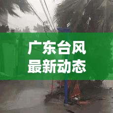 广东台风最新动态今日更新通知