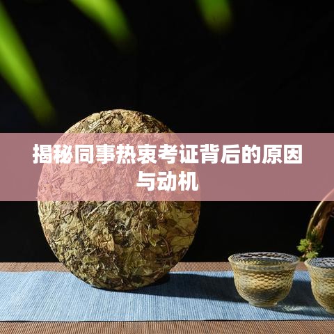 揭秘同事热衷考证背后的原因与动机