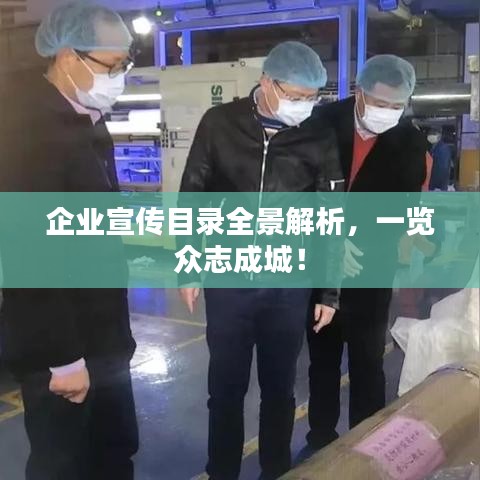 企业宣传目录全景解析，一览众志成城！