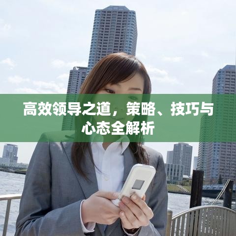 高效领导之道，策略、技巧与心态全解析